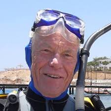 British iron shot found