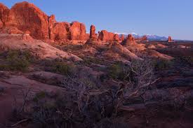 Southwest landscape design (pdf) view all landscape design style guides Usa Southwest