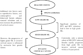 But we know for sure that most cervical cancer is caused by a sexually transmitted disease called human papilloma virus, or. Cervical Cancer A Meta Analysis Therapy And Future Of Nanomedicine Ecancer