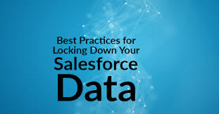 Fret not, you are not alone as many users are also facing the same issue. Best Practices For Locking Down Your Salesforce Data