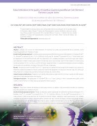 Image result for eustoma flamenco