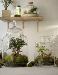 Comment Fabriquer Un Terrarium Pour Ses Plantes Elle Decoration Deco Plantes Jardin De Verre Terrariums Diy