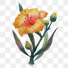 Exquisite Hand Painted Watercolor Flower Design Watercolor Flower Color Flowers Png Transparent Clipart Image And Psd File For Free Download Watercolor Flowers Painting Flower Painting