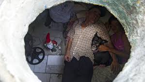 Twenty years in a sewer