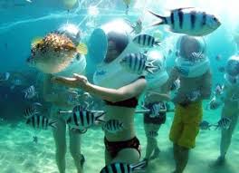 Hasil gambar untuk WATER SPORT BALI