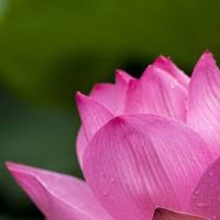 Scott Blakeman Obituary (1989