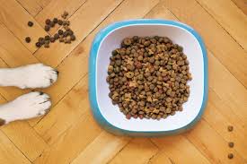 Usually sold in bags at any pet store and most grocery stores. Dry Dog Food Training Kibble Free Photo On Pixabay
