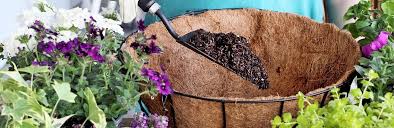However, with a little bit of dedication and the right amount of sun, water and fertilizer, your hanging basket will last. A Beginners Guide To Hanging Baskets Lovethegarden