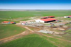 The extended drummond family owns about 433,000 acres. Ladd Drummond Age Height Wiki Bio Ree Drummond Net Worth 2021