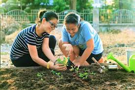 Selain itu kamu juga kamu juga harus menjaga estetika kebun rumahmu. Manfaat Berkebun Dan Memelihara Tanaman Bagi Kesehatan Alodokter