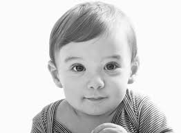 The Gerber Foundation