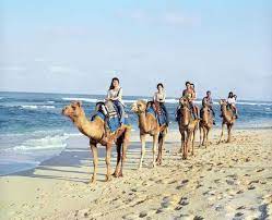 Pantai niko nusa dua emang muy fresco kata orang spanyol alias keren abis. Pin By Kura Kura Guide On Animal Encounters Bali Travel Bali Resort Bali