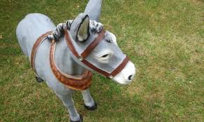 Ane En Resine Marche Fr