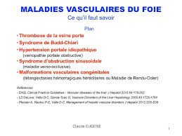 Maladies Vasculaires Du Foie