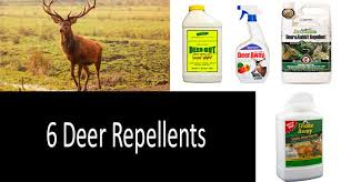 deer repellents guide top 6 best