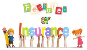 If you pass away before your time, will you be leaving a spouse to pay the mortgage? Features Of Life Insurance Features Of General Insurance