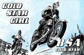 Image result for Champagne Gold 1990 Motorcycle