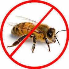Pest control companies near you. Honey Bee Pest Control Service In Gorwa Vadodara Id 10974168788