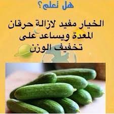 مجموعة هل تعلم عن الغذاء الصحي حافظ علي صحتك