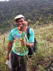 Image result for Millettia makondensis