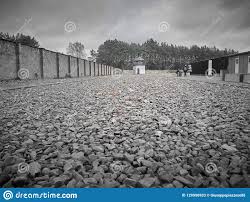 Located near oranienburg, north of berlin, the sachsenhausen camp opened on july 12, 1936, when the ss transferred 50 prisoners from the esterwegen concentration camp to begin construction of the camp. Vista Del Campo De Concentracion De Sachsenhausen Foto De Archivo Editorial Imagen De Museo Historia 129996933