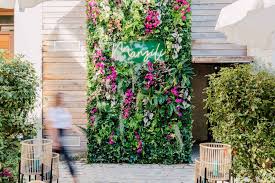 Mohamed cheikh emerged as the big winner against sarah mainguy. Tlkbg Yqwvgjwm