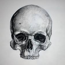 Maybe you would like to learn more about one of these? How To Draw A Realistic Skull