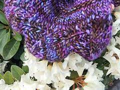Need a gift for mother's day? Ravelry Designs By Serial Knitters Local Yarn Store