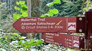 There are 6 more routes around here to explore. Mullerthal Trail Die Kleine Luxemburgische Schweiz Erwandern Outdoorsuechtig