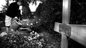 Der sich altmodisch kleidete und. Amoklauf Von Winnenden Das Vergessene Opfer Nachrichten Schwarzwalder Bote