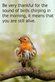 Pin On Good Morning