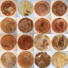 3 Things To Do If You Think Your Kombucha Brew Has Mold Kombucha Recipe Kombucha Scoby Kombucha