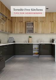 8 Tips To Ensure Your Kitchen Is Termite Free Home Decor Hacks Kitchen Home Decor Tips