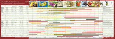 Kalenders zijn ook compatibel met google docs en open office. Phano Kalender Gratis Download Spriessburger Verlag