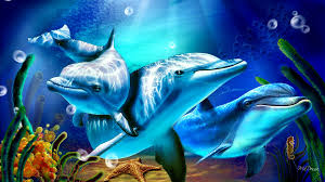 Background sunset cute dolphin wallpaper. Beautiful Dolphins Hd Wallpaper Background Image 1920x1080