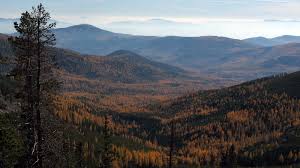 100 sagle rd sandpoint, id 83864. Hike Washington S National Forests Washington Trails Association