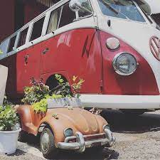 車検終わって受け取りに来たらまだ開いてなかったっていうサプライズ笑 vw volkswagen aircooledvw vwbus succulents ワーゲン ワーゲンバス タニクスワーゲン silverrest vehicles