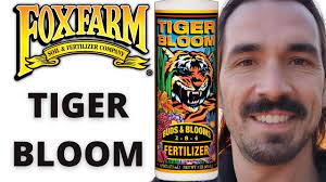 Fox Farm Tiger Bloom Youtube