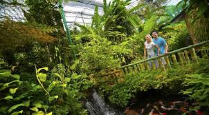 Kehoprak balekambang lakon raden pabelan. Kl Butterfly Park Price 2021 Promotions Online Discounts