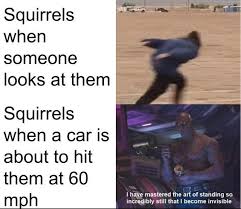 We did not find results for: 40 Memes That Will Add A Little Spice To Your Life Crazy Funny Memes Stupid Funny Memes Funny Relatable Memes