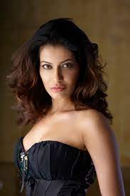 Get payal rohatgi's contact information, age, background check, white pages, marriage history, divorce records, email, criminal records & photos. Payal Rohatgi Imdb
