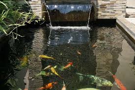 Desain kolam ikan mini dengan jembatan kecil satu ini sangat cocok untukmu. 10 Ide Desain Kolam Ikan Minimalis Di Rumah Bukareview