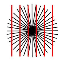 Image result for illusion pictures