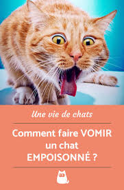 Comment Faire Vomir Un Chat Empoisonne Premiers Secours Conseils Pour Chat Astuces Pour Chat Chat