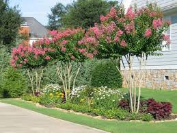 Deep Purples Look Lovely In Beds Especially When Contrasted With Perennials In Yellow G Front Yard Landscaping Perennial Garden Design Landscaping Along Fence