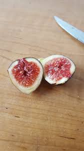 I ate my very 1st Marseilles Black VS fig today (1st time ever). Wow! What  a great tasting fig. Where has this fig been all of my life? On a scale of
