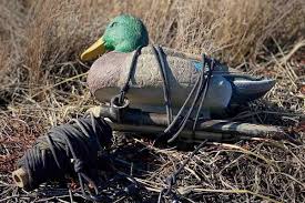 How to Make a Duck Decoy Jerk Rig - Florida Sportsman