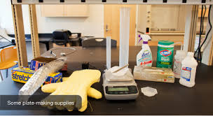 Bacterial and fungal spores in the air and on surfaces can make freshly poured plates unusable, or can obscure results on inoculated plates. Making Agar Plates