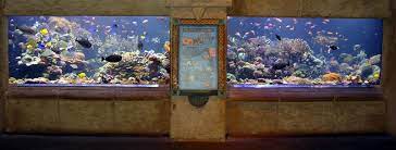 Panels are ready to being installed! Featured Aquarium Atlantis Marine World Reefs Com