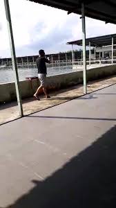 Sea Lion Fishing Park Kolam Baru 3a